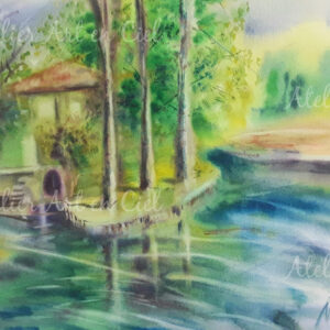 Marais Poitevin - aquarelle - Nathalie Trigodet - Artiste peintre La Rochelle