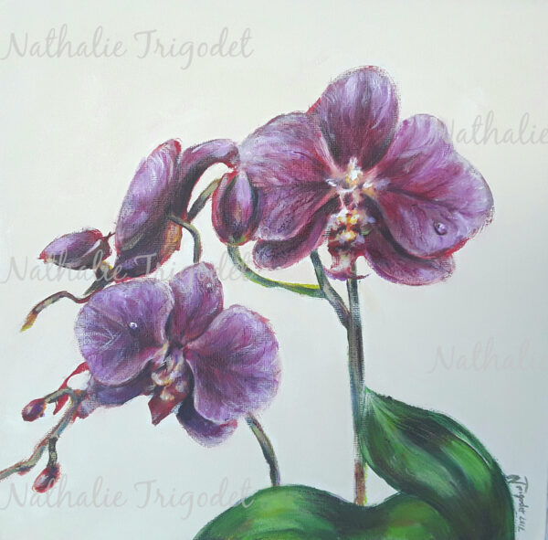 Orchidée mauve - acrylique - Nathalie Trigodet - Artiste peintre La Rochelle